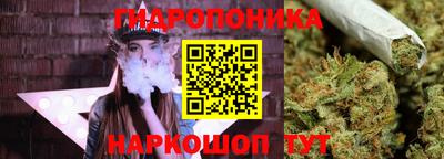 гашик Бузулук