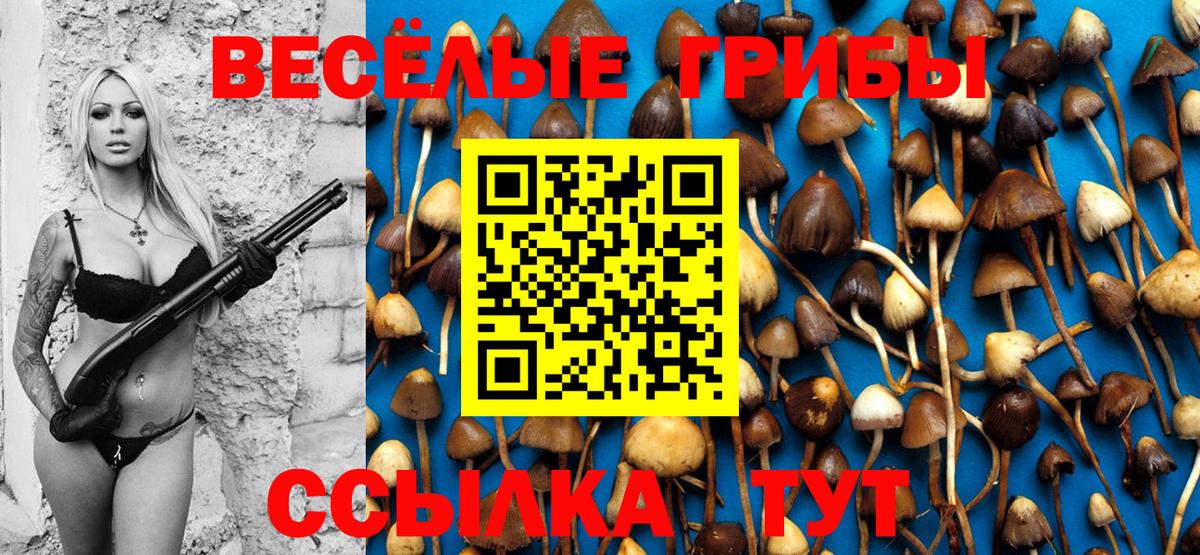 Псилоцибиновые грибы мухоморы  Псилоцибиновые грибы Magic Shrooms  Вход с VPN  Лениногорск 