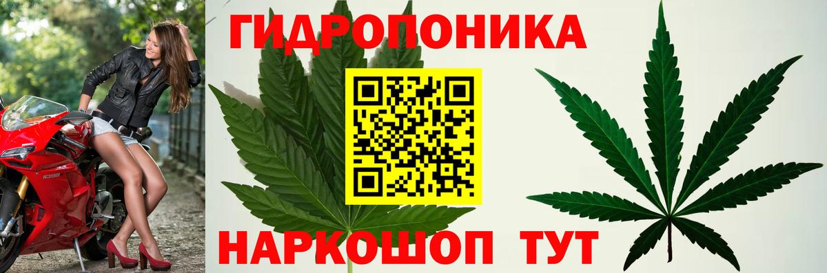 Лениногорск  Бошки марихуана MAZAR  МАРИХУАНА VHQ  Вход с VPN 